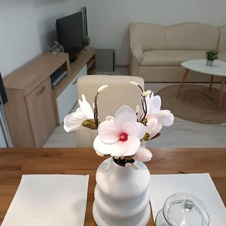 Palmera Apartment *